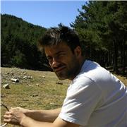 Profesor universitario para dar clases particulares a estudiantes de ingeniería o bachillerato cientifico-tecnológico.